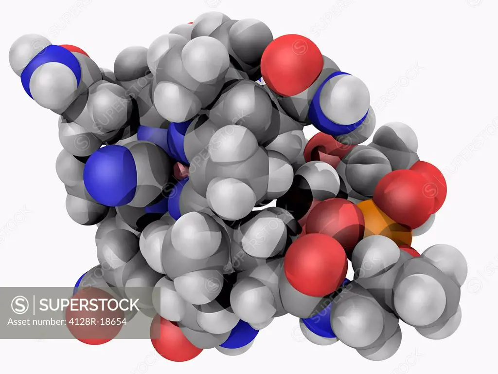 Vitamin B12 cobalamin, molecular model. Vitamin playing a key role in the normal functioning of the brain and nervous system. Atoms are represented as...