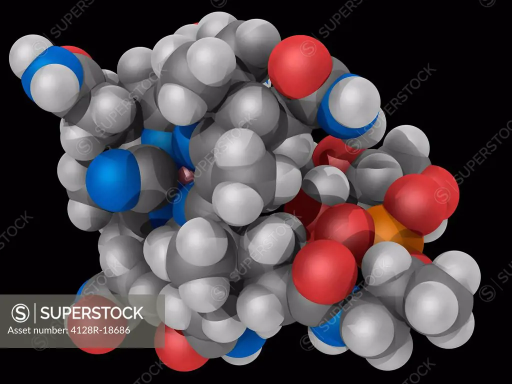 Vitamin B12 cobalamin, molecular model. Vitamin playing a key role in the normal functioning of the brain and nervous system. Atoms are represented as...