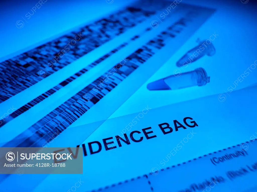 Forensic evidence. DNA samples, autoradiogram and evidence bag.