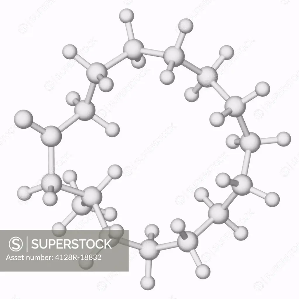 Muscone. Molecular model of muscone, an organic compound that is the primary contributor to the odour of musk.