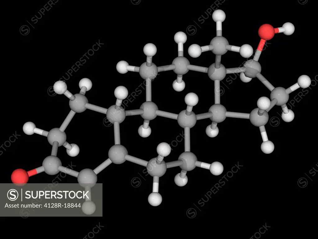 Nandrolone, molecular model. Anabolic steroid used to increase muscle growth, stimulate appetite and increase red blood cell production. Atoms are rep...