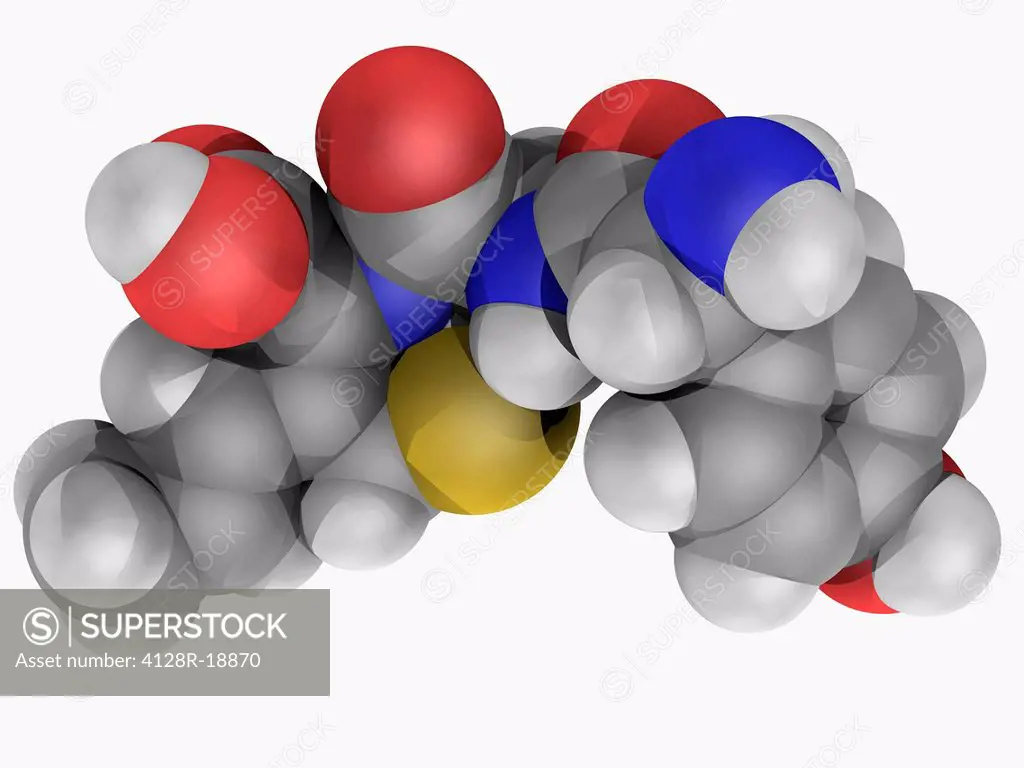 Cefprozil, molecular model. Second_generation cephalosporin antibiotic used for treating infections like bronchitis. Atoms are represented as spheres ...