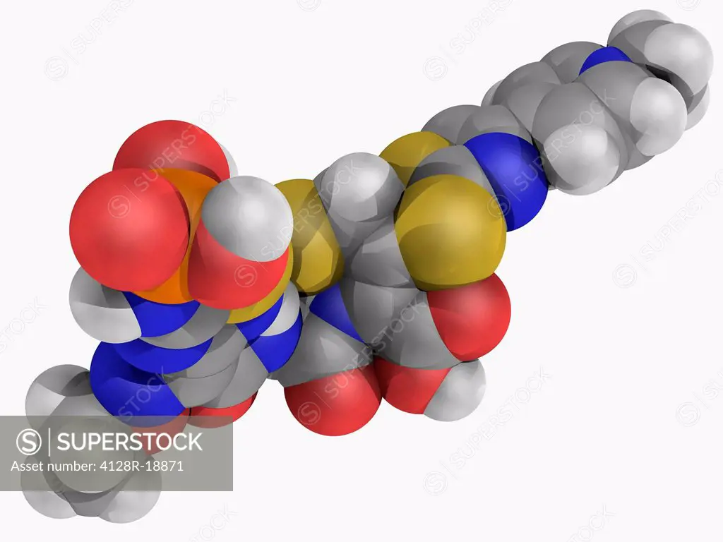 Ceftaroline, molecular model. Advanced generation cephalosporin antibiotic used against methicillin_resistant bacteria. Atoms are represented as spher...