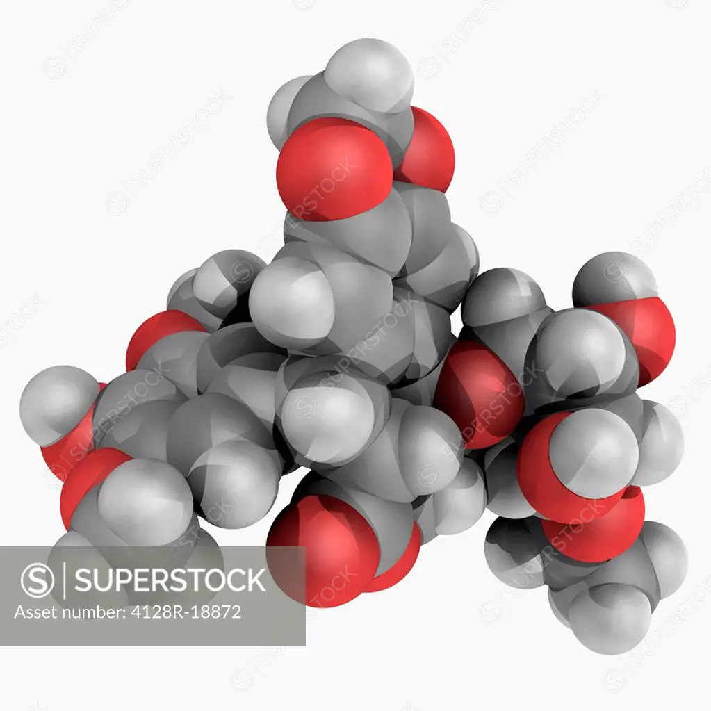Etoposide, molecular model. Topoisomerase inhibitor used in chemotherapy for cancers as Ewing´s sarcoma, lung cancer, testicular cancer, lymphoma, and...