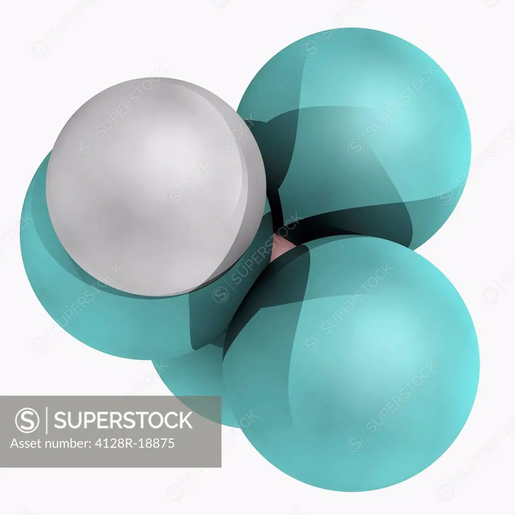 Fluoroboric acid, molecular model. Chemical compound, strong acid. Atoms are represented as spheres and are colour_coded: boron pink, hydrogen white a...