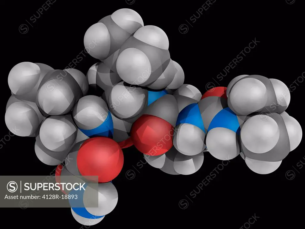 Boceprevir, molecular model. Protease inhibitor used in the treatment of hepatitis C. Atoms are represented as spheres and are colour_coded: carbon gr...