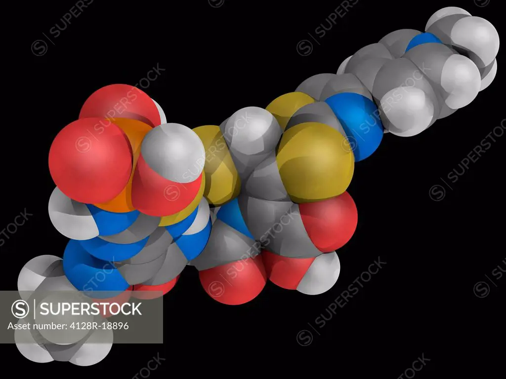Ceftaroline, molecular model. Advanced generation cephalosporin antibiotic used against methicillin_resistant bacteria. Atoms are represented as spher...