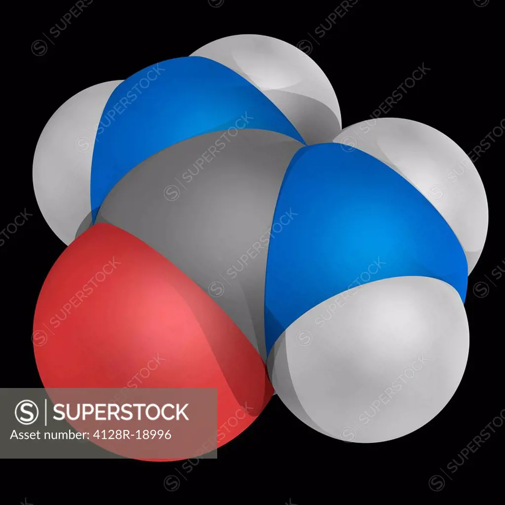 Urea, molecular model. Organic compound playing an important role in the metabolism of nitrogen_containing compounds. Atoms are represented as spheres...