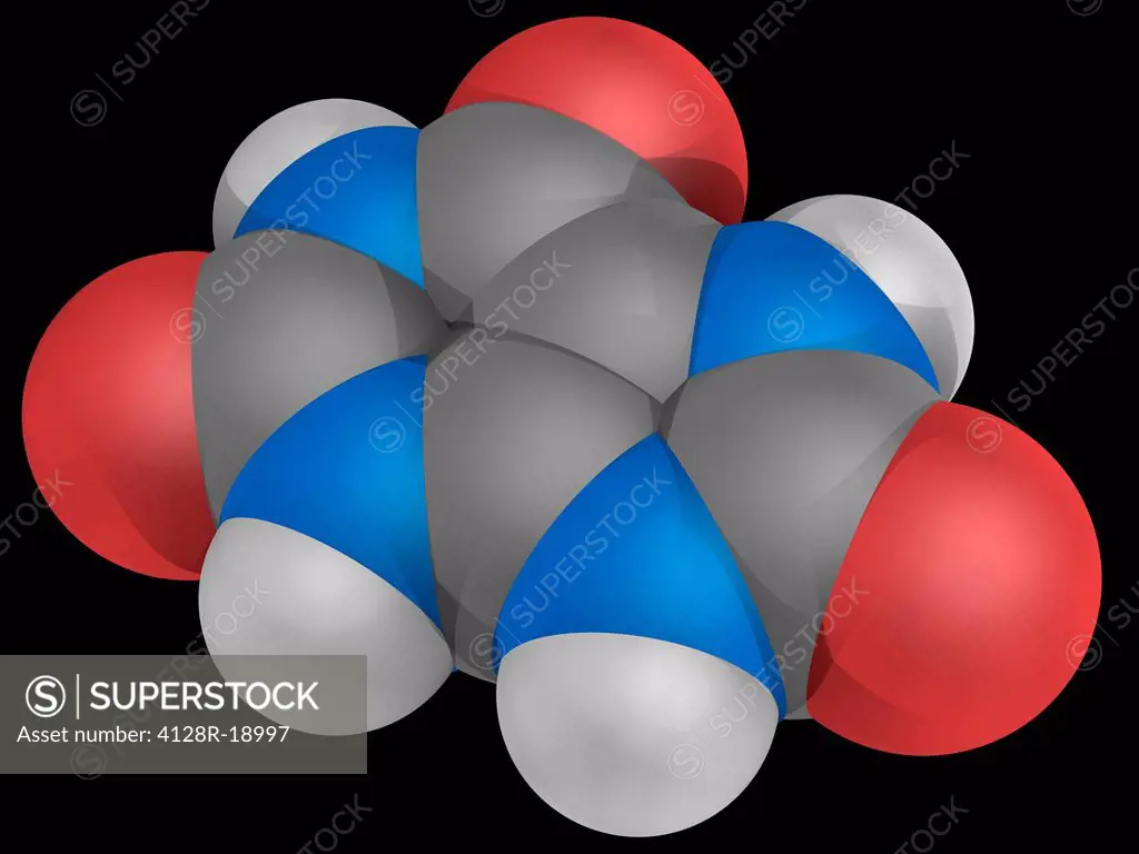 Uric acid, molecular model. Organic compound created when the body breaks down purine nucleotides. Atoms are represented as spheres and are colour_cod...