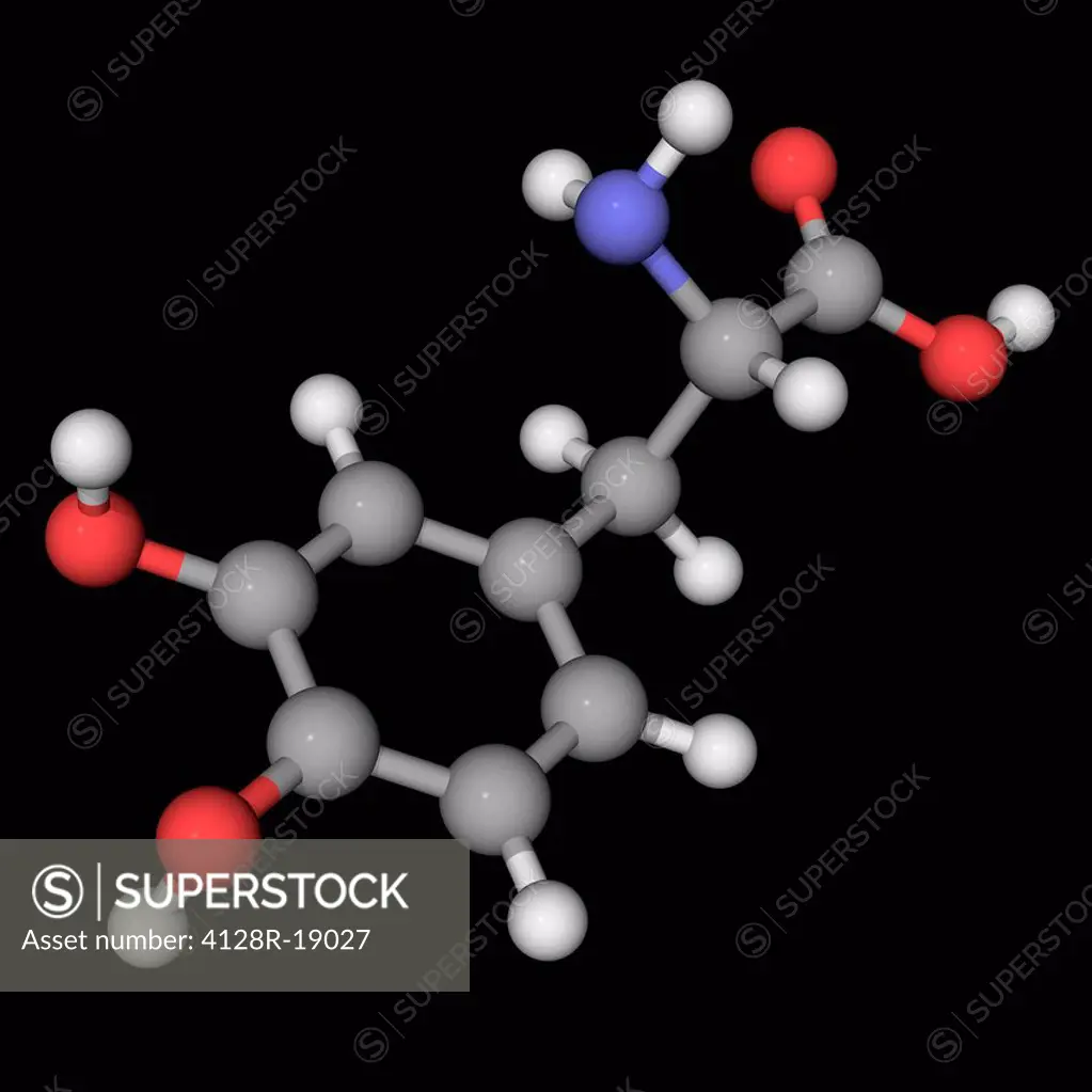 Levodopa L_DOPA, molecular model. Drug used in the treatment of Parkinson´s disease and dopamine_responsive dystonia. Atoms are represented as spheres...