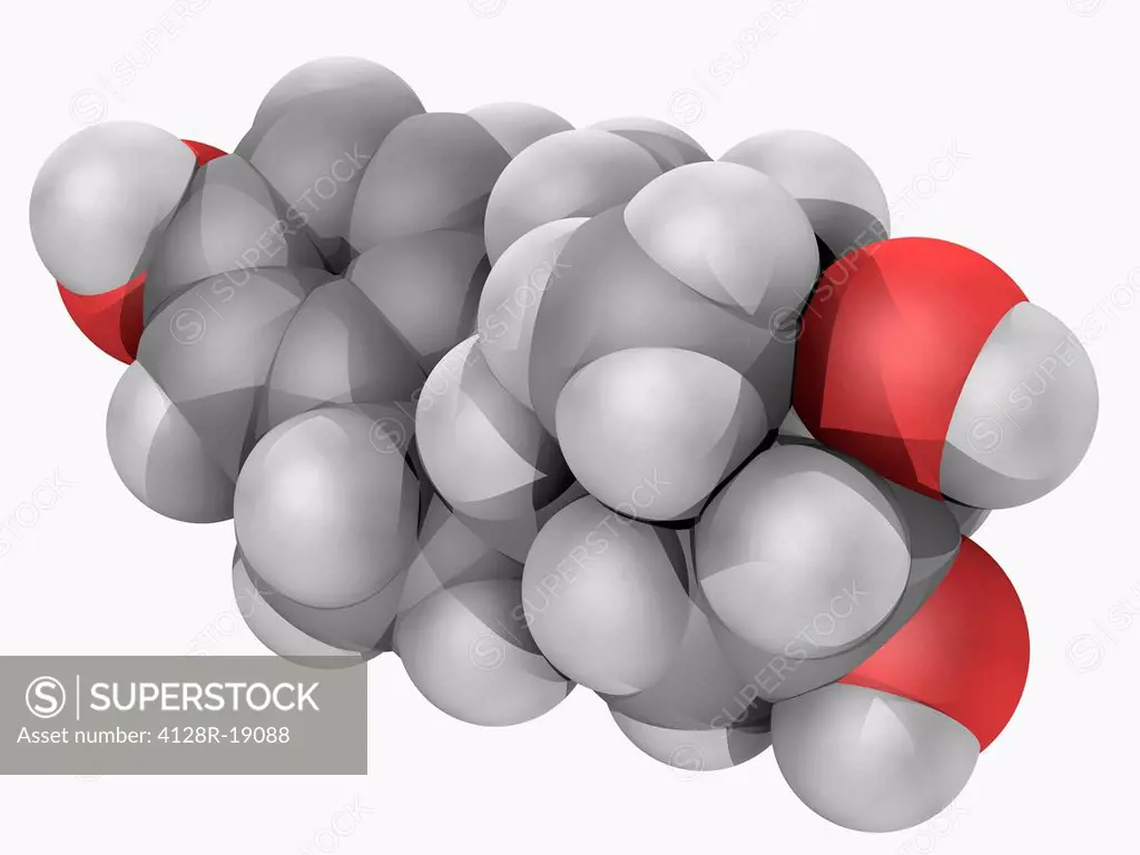 Estriol, molecular model. Sex hormone, one of the three main estrogens produced by the human body estradiol, estriol and estrone. Atoms are represente...