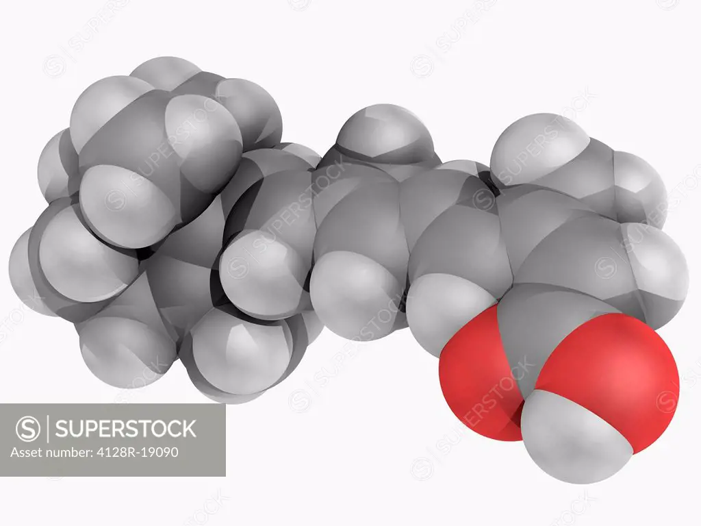Isotretinoin, molecular model. Drug used mostly for cystic acne. Atoms are represented as spheres and are colour_coded: carbon grey, hydrogen white an...