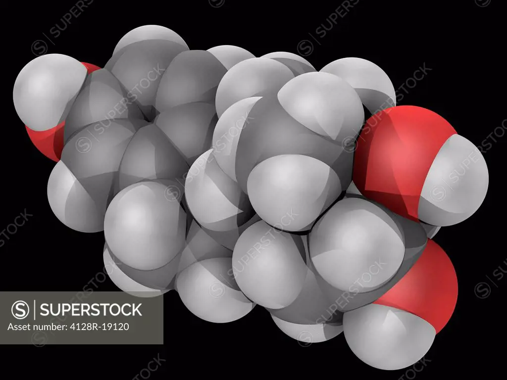 Estriol, molecular model. Sex hormone, one of the three main estrogens produced by the human body estradiol, estriol and estrone. Atoms are represente...