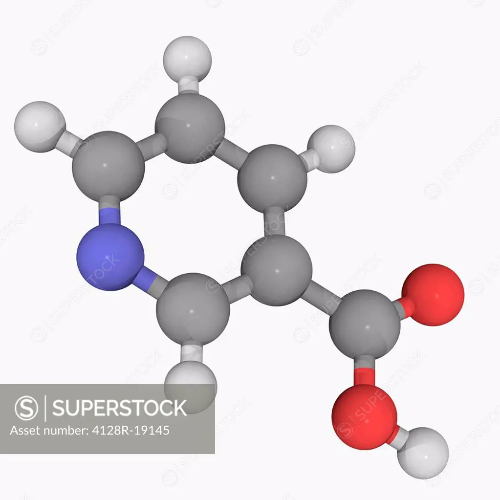 Vitamin B3 nicotinic acid, molecular model. Insufficient intake leads to a disease called pellagra. Vitamin B1 thiamine, molecular model. Atoms are re...