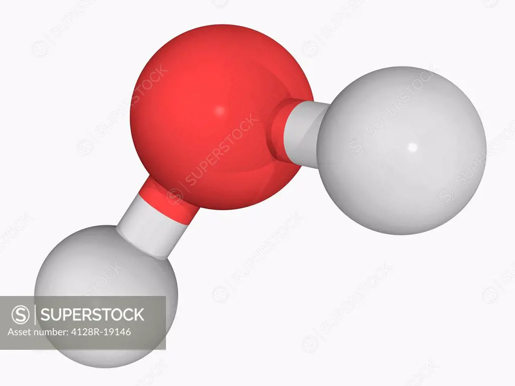 Water, molecular model. Vital substance for all forms of life. Atoms are represented as spheres and are colour_coded: hydrogen white and oxygen red.