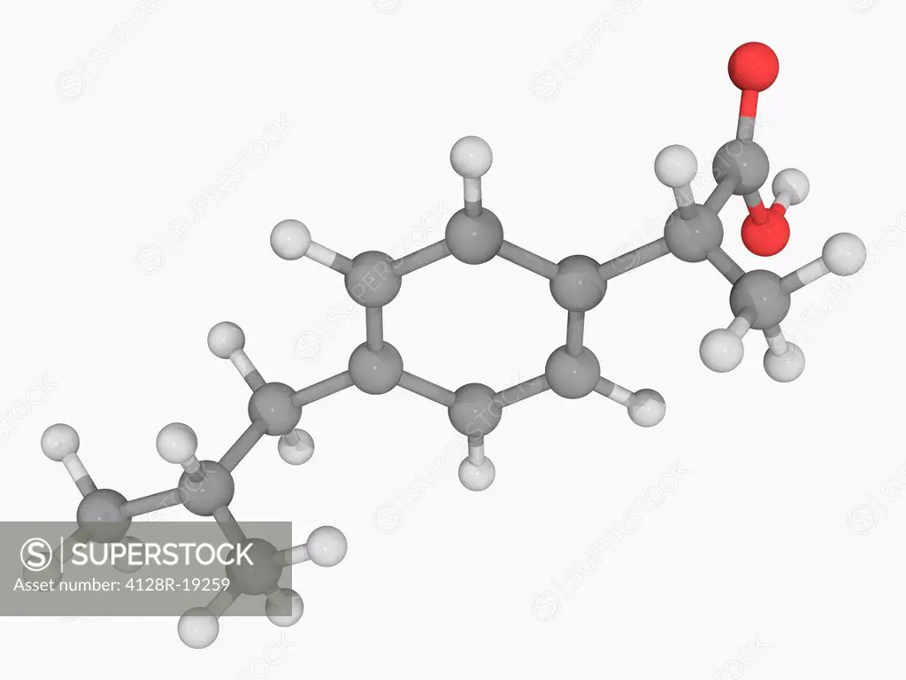 Ibuprofen, molecular model. Non_steroidal anti_inflammatory drug primarily used for fever, pain, dysmenorrhea and rheumatic arthritis. Atoms are repre...