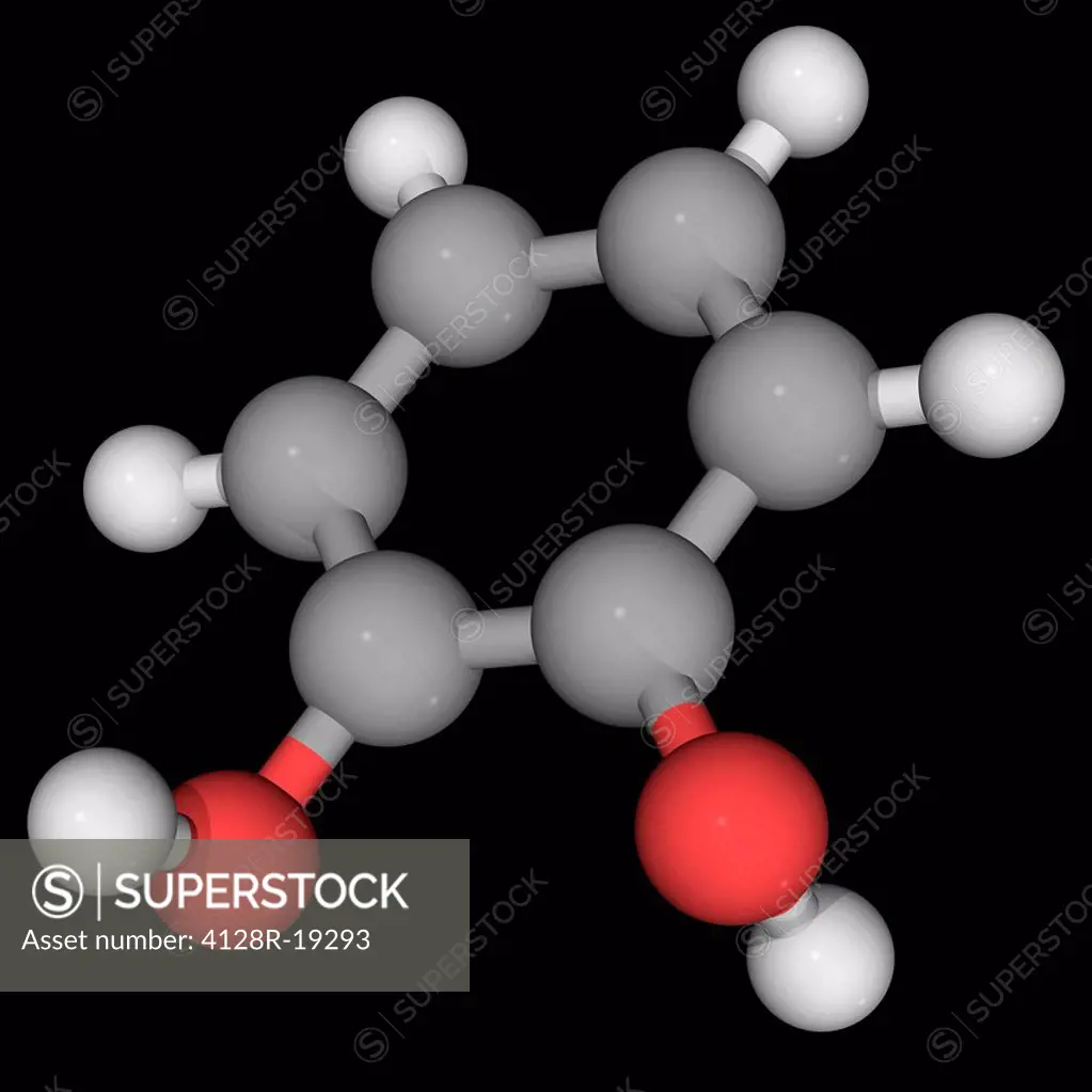 Catechol, molecular model. Orthoisomer of the three isomeric benzenediols. Precursor to pesticides, flavours and fragrances. Atoms are represented as ...