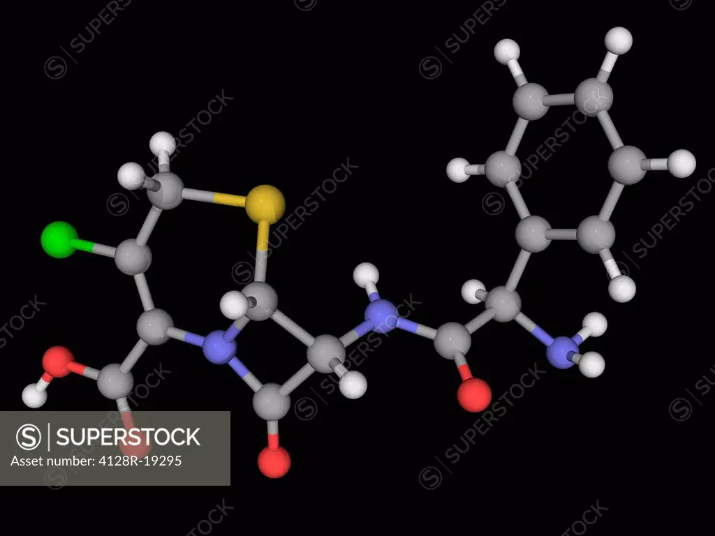 Cefaclor, molecular model. Second_generation cephalosporin antibiotic used for treating infections like pneumonia. Atoms are represented as spheres an...