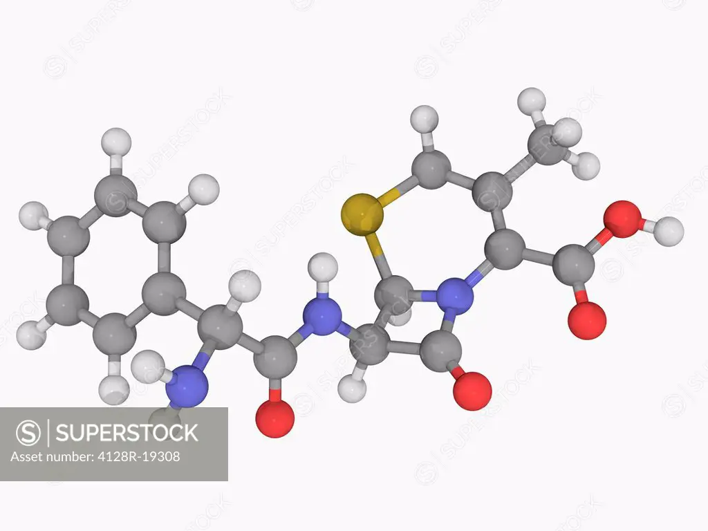 Cephalexin, molecular model. First_generation cephalosporin antibiotic. Atoms are represented as spheres and are colour_coded: carbon grey, hydrogen w...