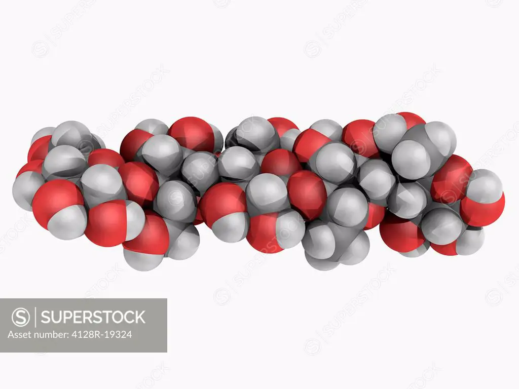Cellulose, molecular model. Polysaccharide consisting of a linear chain of D_glucose units. Atoms are represented as spheres and are colour_coded: car...
