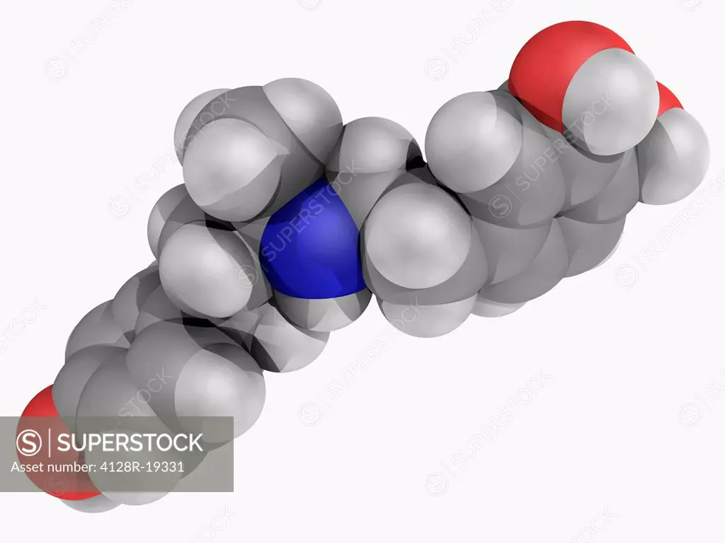 Dobutamine, molecular model. Sympathomimetic drug used in the treatment of heart failure and cardiogenic shock. Atoms are represented as spheres and a...