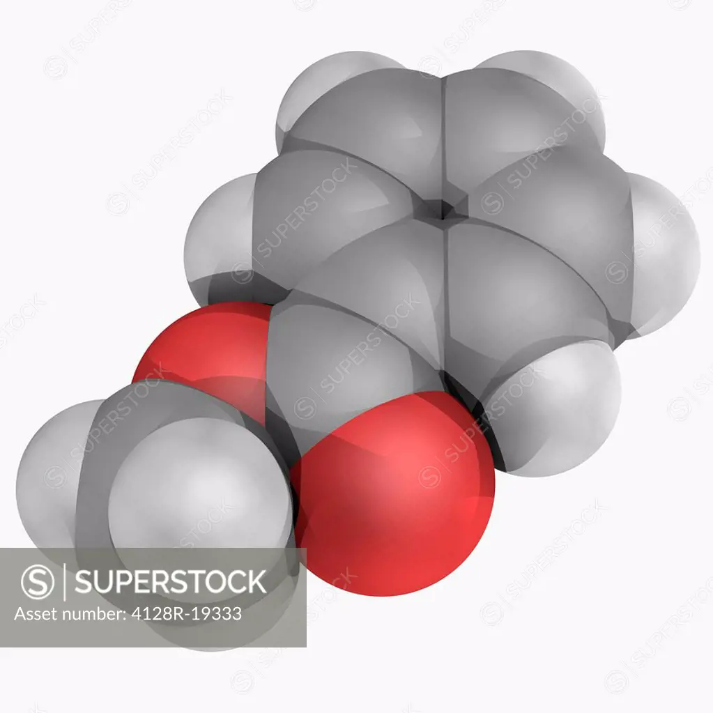 Methyl benzoate, molecular model. Organic compound with pleasant smell reminiscent of the fruit of the feijoa tree. Used in perfumery, as a solvent an...