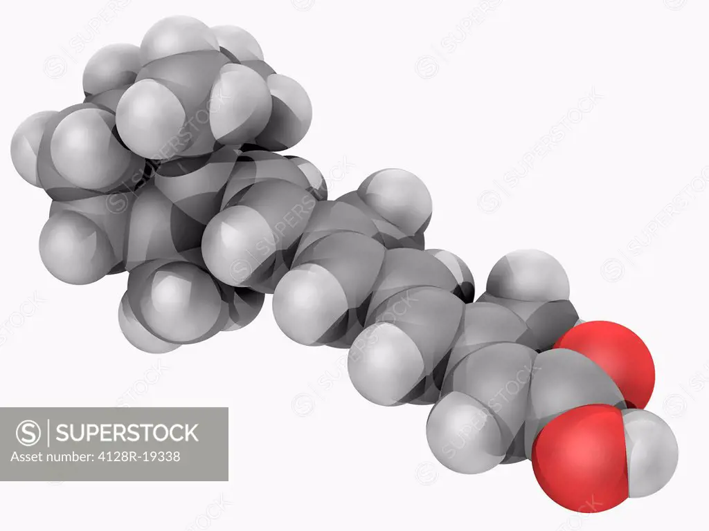 Tretinoin, molecular model. Acid form of vitamin A commonly used to treat acne and hair loss. Atoms are represented as spheres and are colour_coded: c...