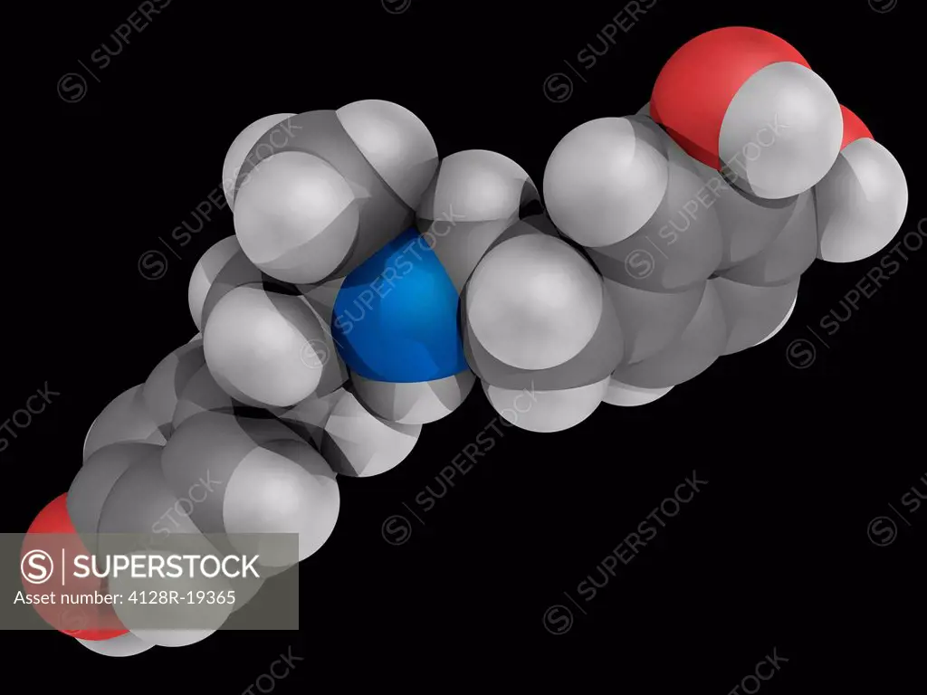 Dobutamine, molecular model. Sympathomimetic drug used in the treatment of heart failure and cardiogenic shock. Atoms are represented as spheres and a...