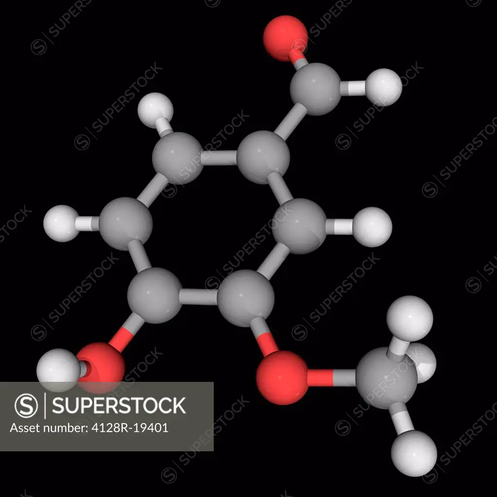 Vanillin, molecular model. Organic compound and the primary component of the vanilla bean. Atoms are represented as spheres and are colour_coded: carb...