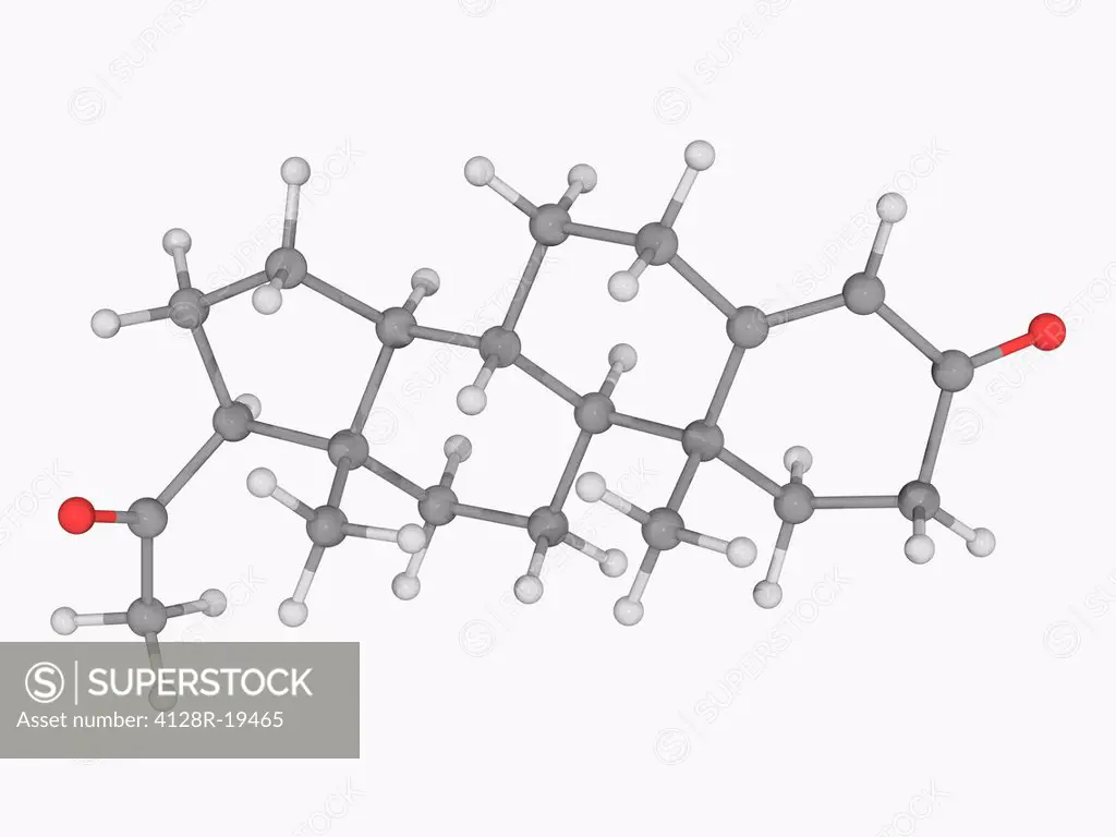 Progesterone, molecular model. Steroid hormone involved in the female menstrual cycle, pregnancy and embryogenesis. Atoms are represented as spheres a...