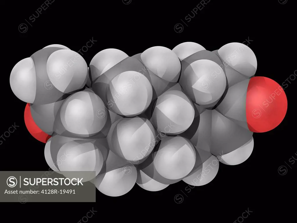 Progesterone, molecular model. Steroid hormone involved in the female menstrual cycle, pregnancy and embryogenesis. Atoms are represented as spheres a...
