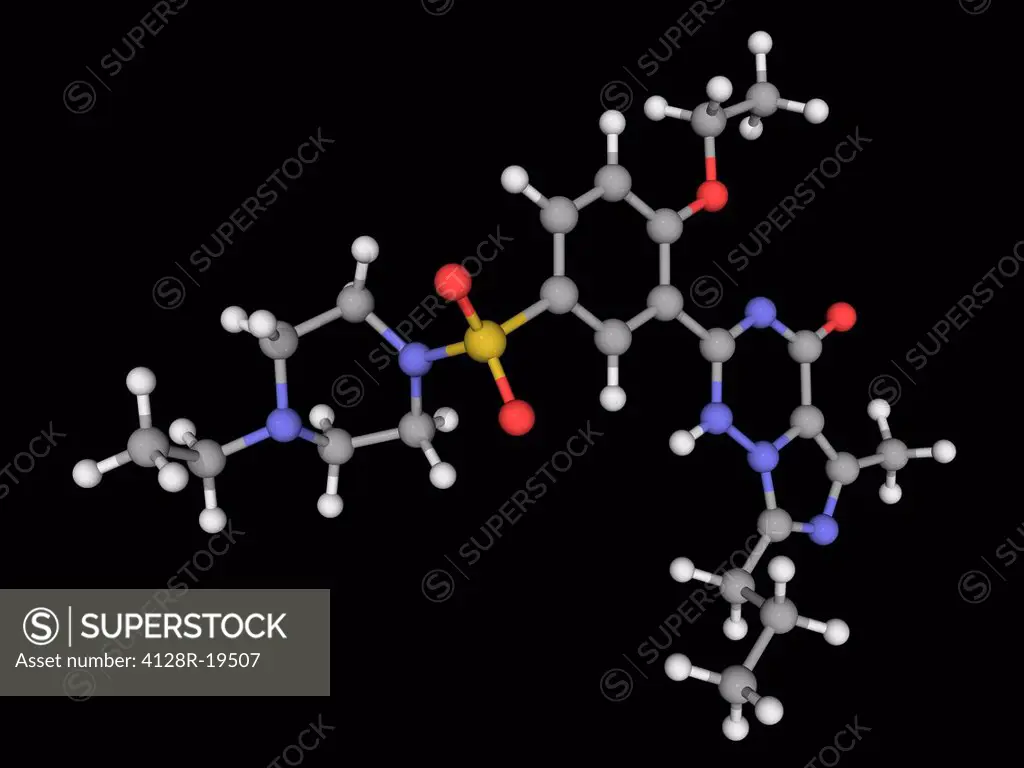 Vardenafil, molecular model. Phosphodiesterase type 5 inhibitor used in the treatment of erectile dysfunction. Atoms are represented as spheres and ar...