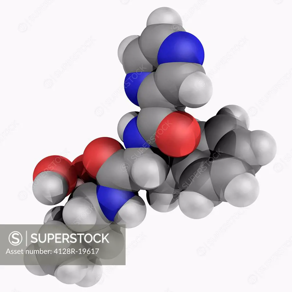 Bortezomib, molecular model. First therapeutic proteasome inhibitor to be tested in humans. U.S._approved for treatment of relapsed multiple myeloma a...