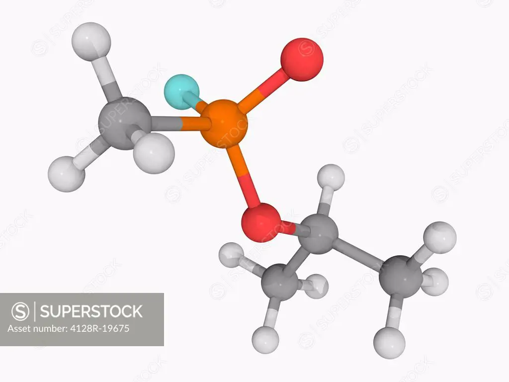 Sarin, molecular model. Organophosphorus compound used as a chemical weapon. Atoms are represented as spheres and are colour_coded: carbon grey, hydro...