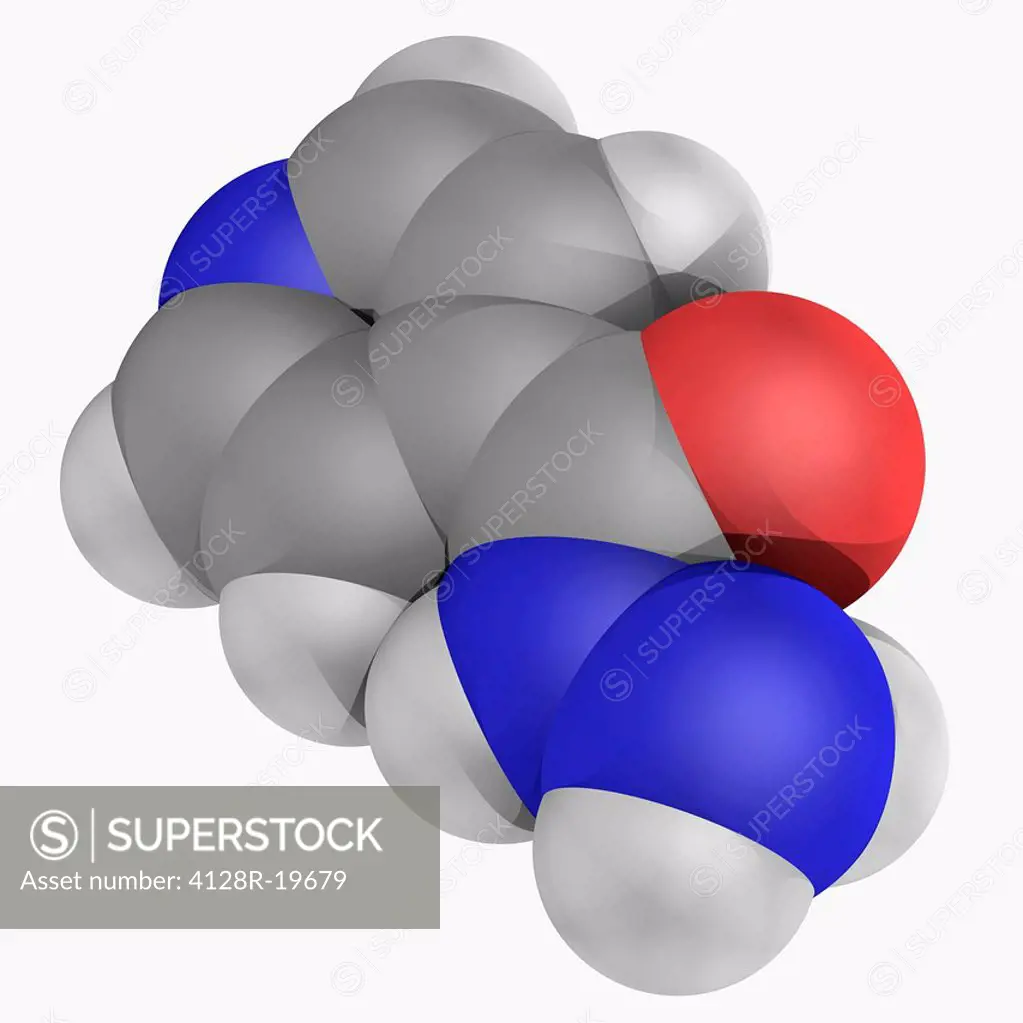 Isoniazid, molecular model. Drug used in the treatment of tuberculosis. Atoms are represented as spheres and are colour_coded: carbon grey, hydrogen w...