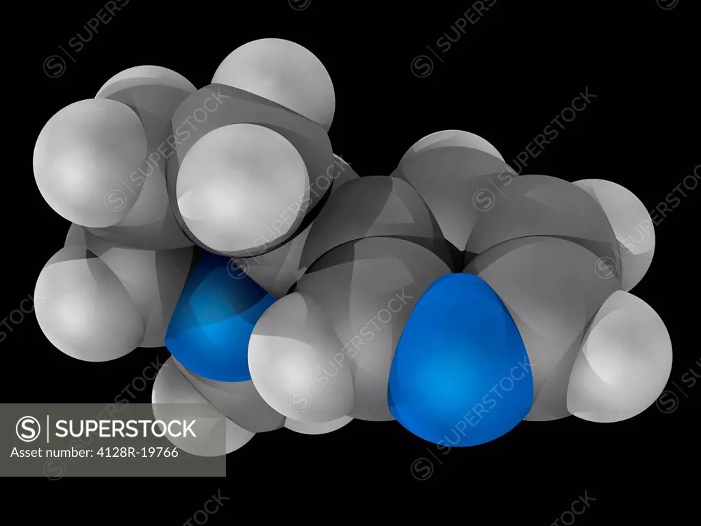 Nicotine, molecular model. Alkaloid found in the nightshade family of plants. Atoms are represented as spheres and are colour_coded: carbon grey, hydr...