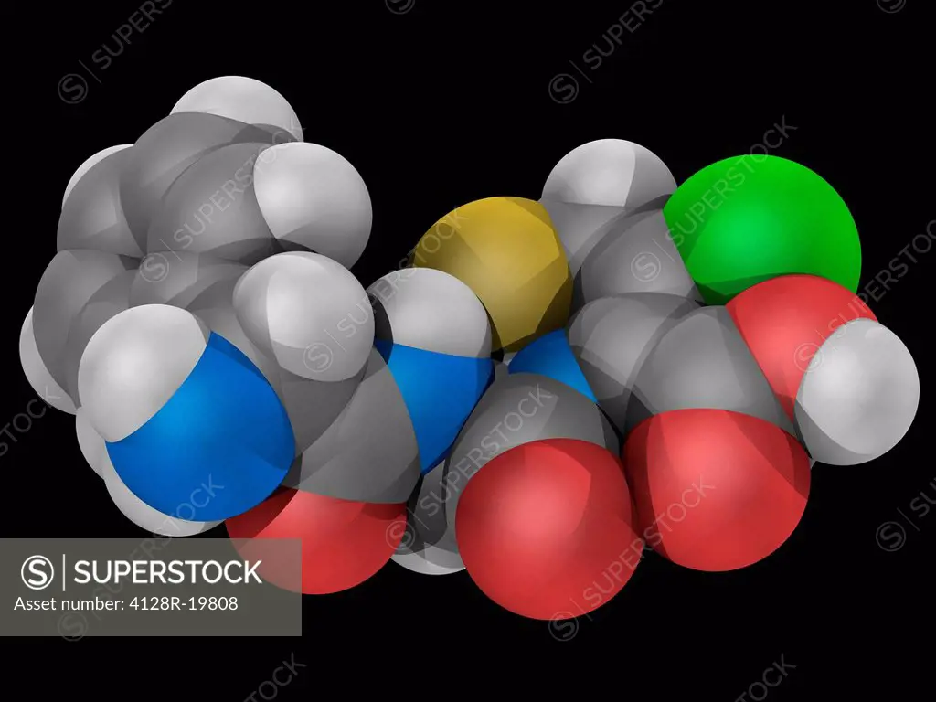 Cefaclor, molecular model. Second_generation cephalosporin antibiotic used for treating infections like pneumonia. Atoms are represented as spheres an...