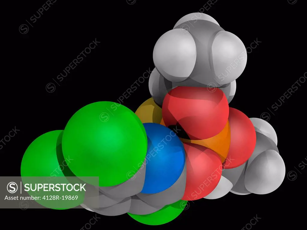 Chlorpyrifos, molecular model. Insecticide for agricultural use. Atoms are represented as spheres and are colour_coded: carbon grey, hydrogen white, n...