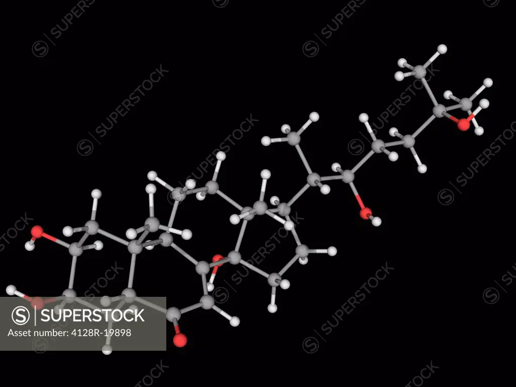 Ecdysone, molecular model. Steroidal prohormone of the major insect moulting hormone ecdysterone 20_hydroxyecdysone. Atoms are represented as spheres ...