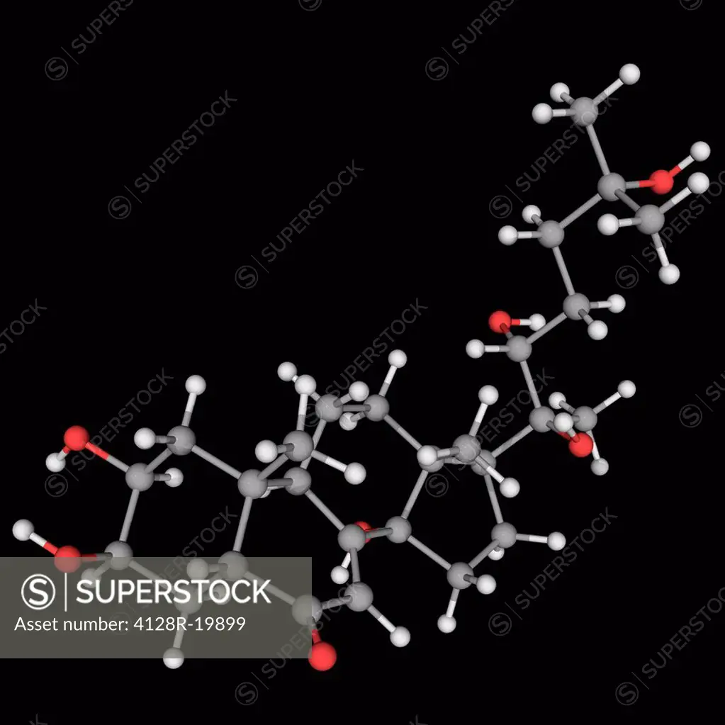Ecdysterone 20_hydoxyecdysone, 20E, molecular model. Major steroidal insect moulting hormone. Atoms are represented as spheres and are colour_coded: c...