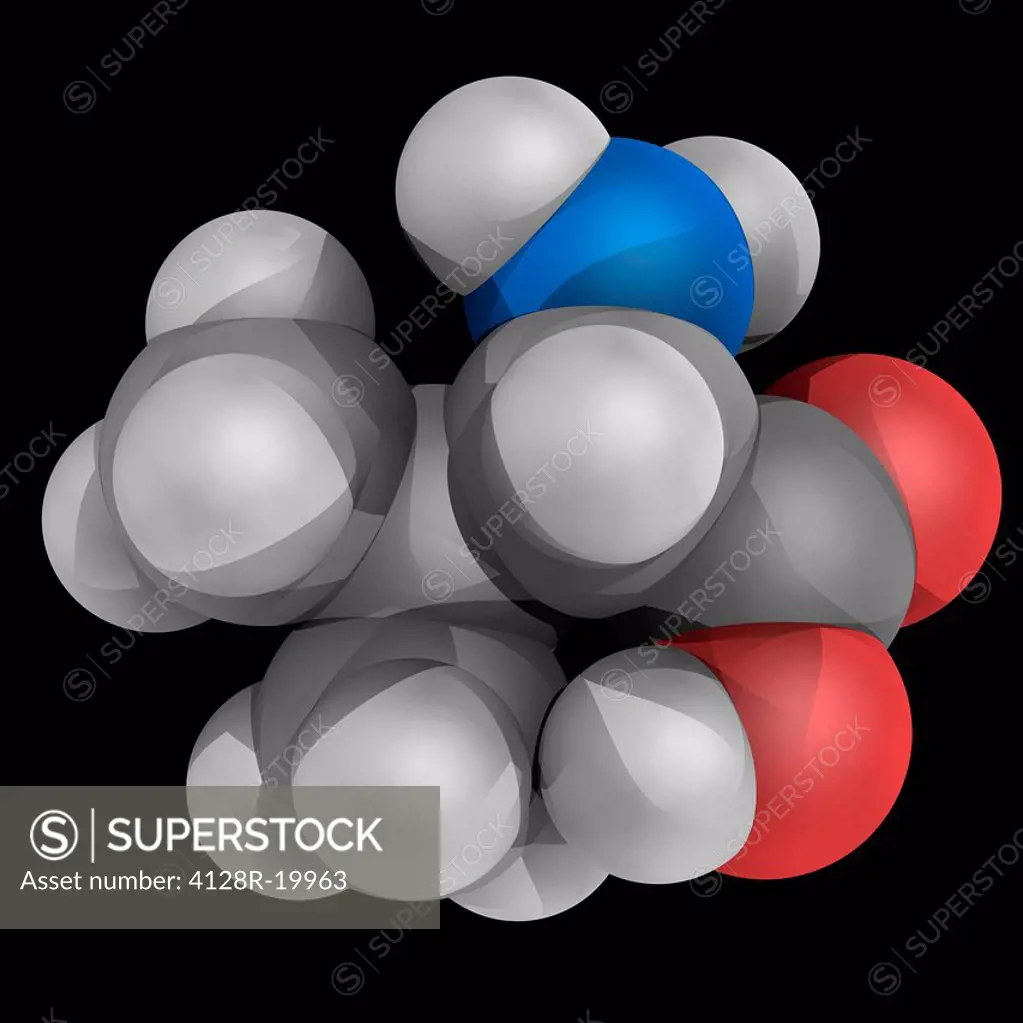 Valine, molecular model. Essential alpha_amino acid and one of the 20 proteinogenic amino acids. Atoms are represented as spheres and are colour_coded...