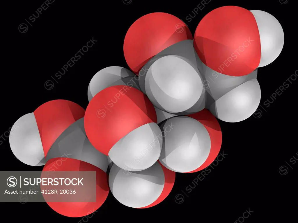Gluconic acid, molecular model. Organic compound naturally occurring in fruit, honey, kombucha tea and wine. Atoms are represented as spheres and are ...