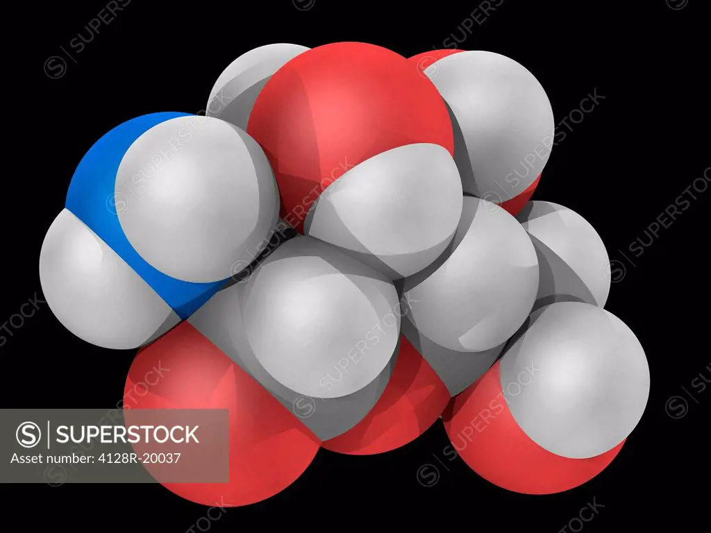 Glusosamine, molecular model. Amino sugar and a prominent precursor in the synthesis of glycosylated proteins and lipids. Dietary supplement. Atoms ar...