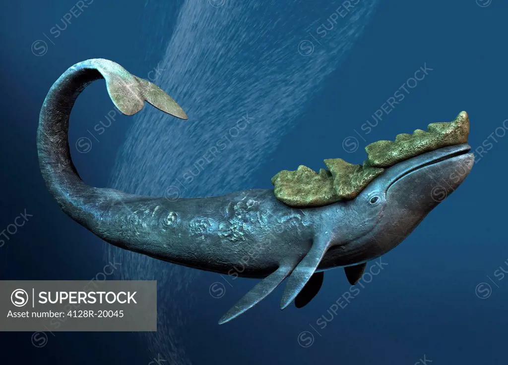 Leviathan sea monster, computer artwork.