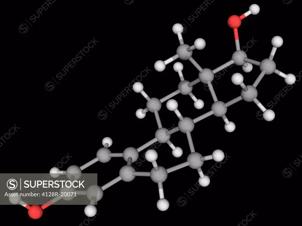 Estradiol, molecular model. Sex hormone, one of the three main estrogens produced by the human body estradiol, estriol and estrone. Atoms are represen...