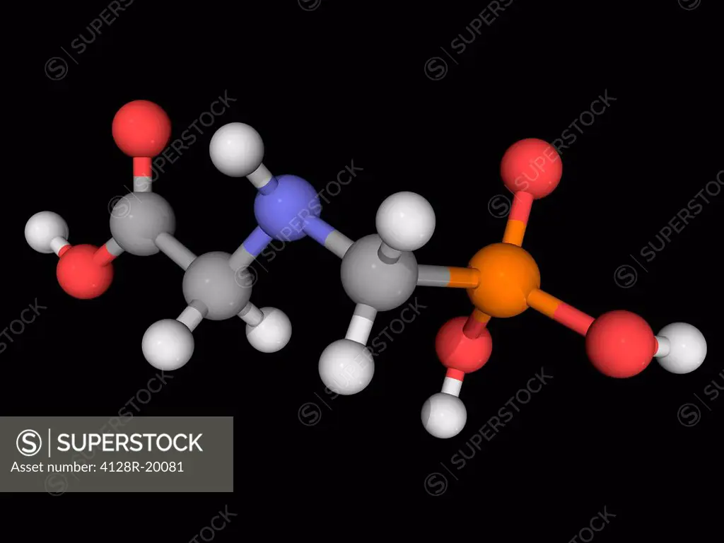 Glyphosate, molecular model. Broad_spectrum_herbicide used to kill weeds. Atoms are represented as spheres and are colour_coded: carbon grey, hydrogen...