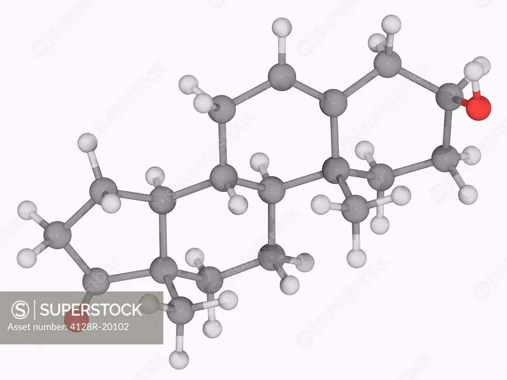Prasterone, molecular model. Endogenous steroid hormone produced in the adrenal glands, the most abundant circulating steroid in humans. Atoms are rep...