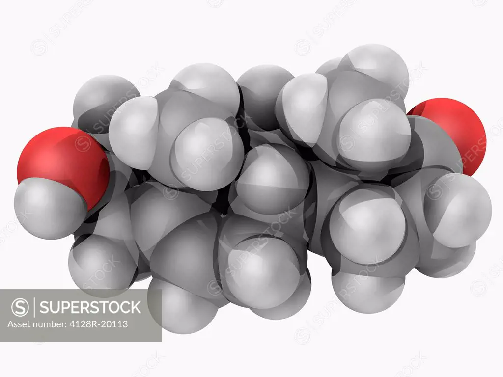 Prasterone, molecular model. Endogenous steroid hormone produced in the adrenal glands, the most abundant circulating steroid in humans. Atoms are rep...