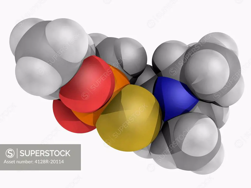 VX, molecular model. Extremely toxic nerve agent. Atoms are represented as spheres and are colour_coded: carbon grey, hydrogen white, nitrogen blue, o...