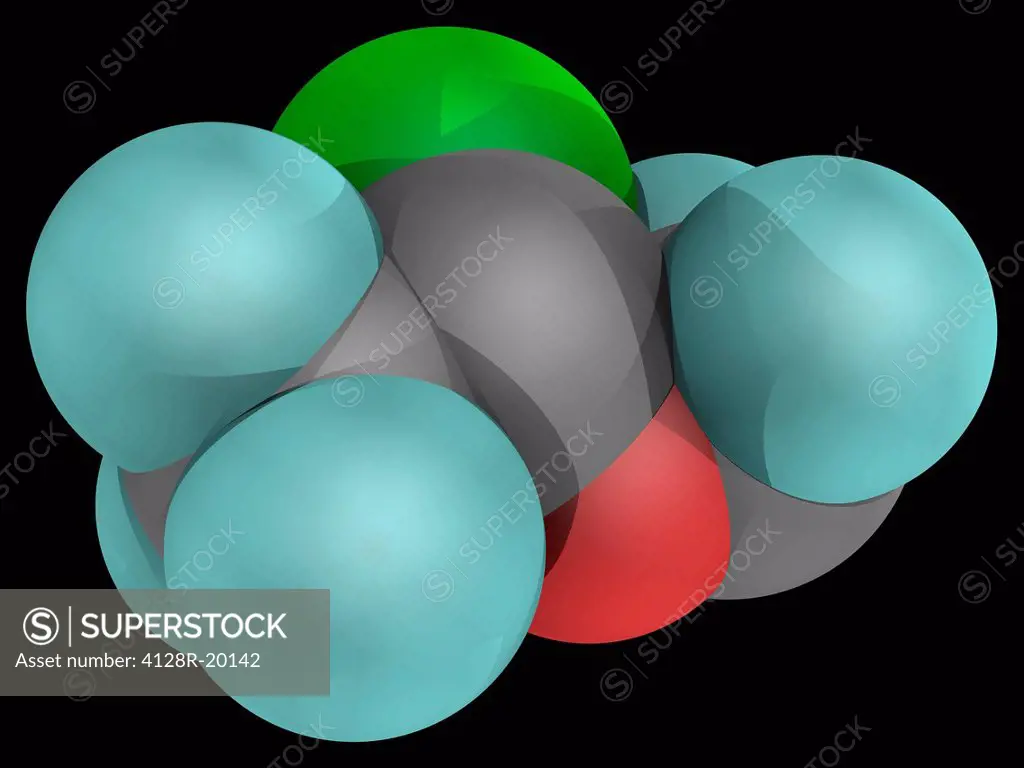 Isoflurane, molecular model. Halogenated ether used for inhalational anaesthesia. Atoms are represented as spheres and are colour_coded: carbon grey, ...